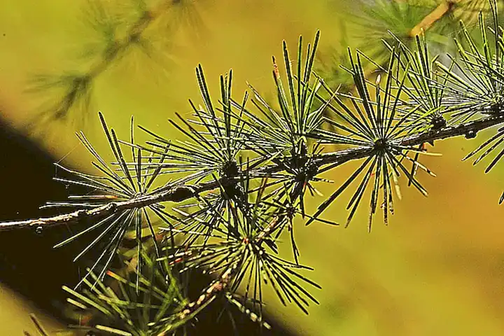 cambios-de-temperatura_h2_563.webp