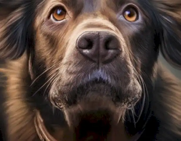   The image should showcase comprehensive guidance and practical exercises for training aggressive dogs, empowering the viewer with clear steps to achieve success.