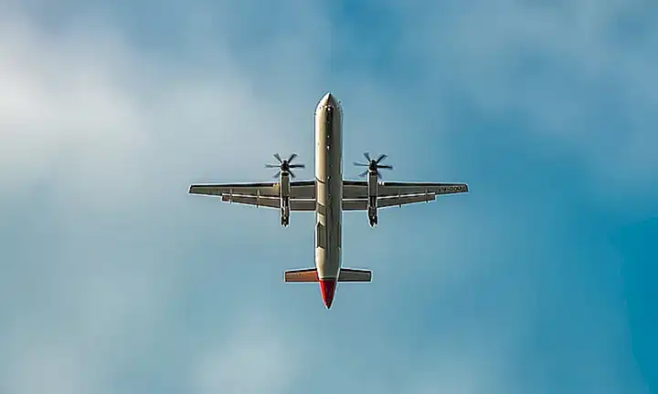 Preparación del gato para el vuelo