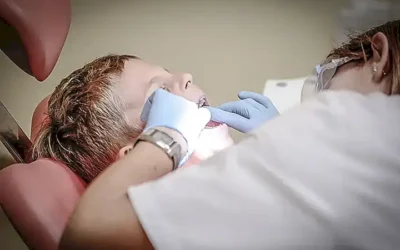 consejos-para-mantener-los-dientes-fuertes-en-perros_h2_441.webp