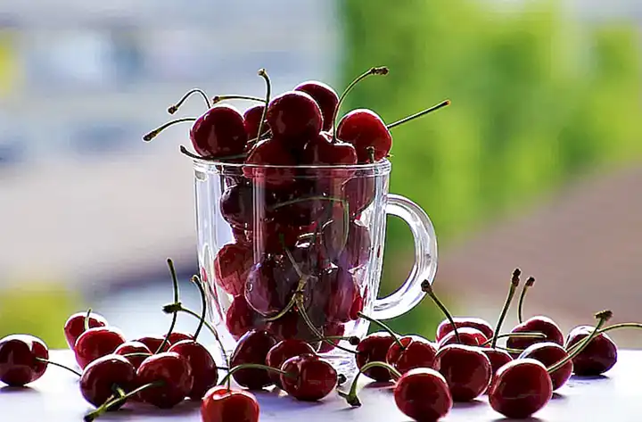 Productos destacados en el sitio web