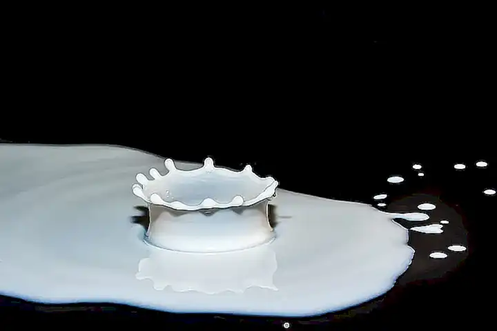 Productos lácteos