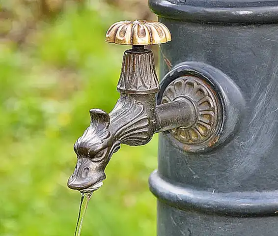 Promover la ingesta de agua
