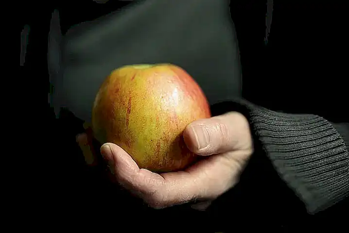 Proporciona una dieta variada