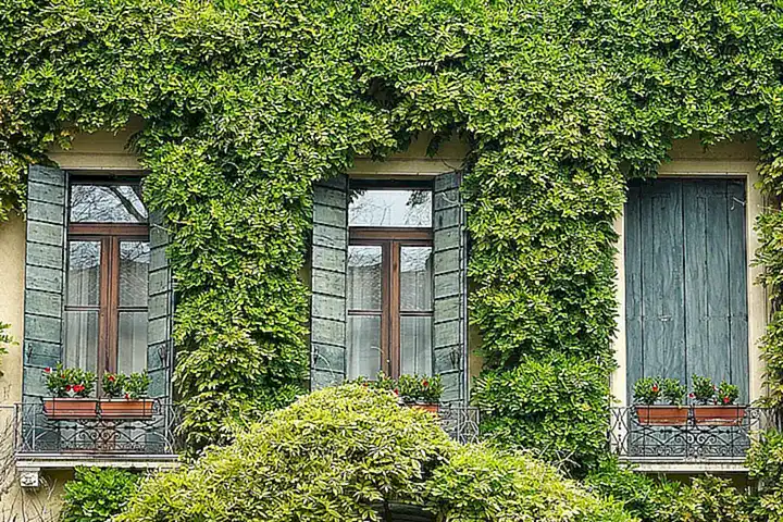 Protección de ventanas y balcones