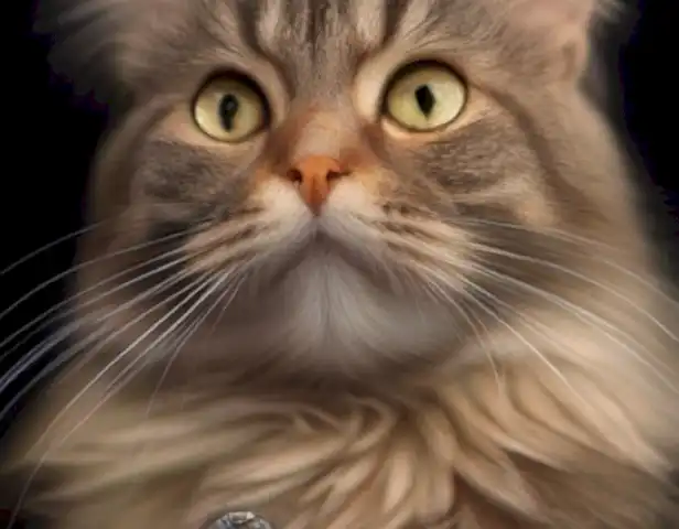 image of the article should show different symptoms and treatments for different types of throat diseases in cats.