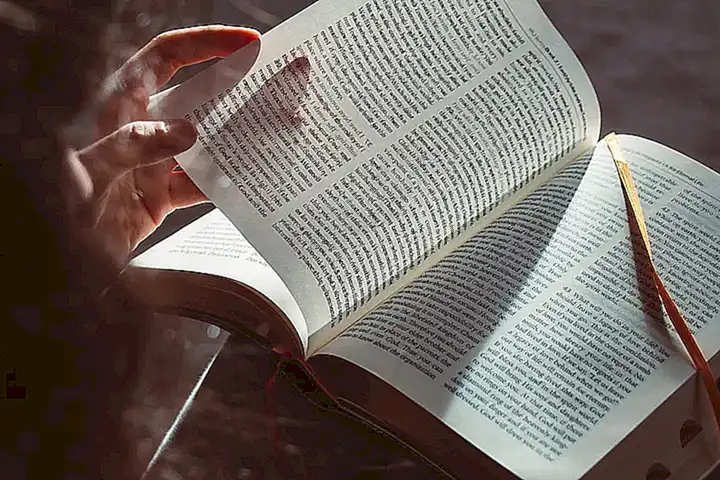 ¿Qué podemos aprender de los estudios sobre la respiración de los reptiles?