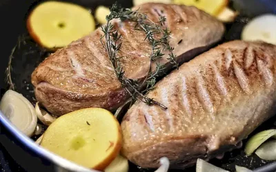 recetas-y-consejos-para-gatos_h2_996.webp