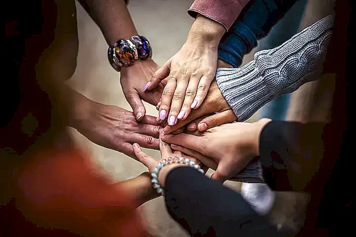 Responsabilidades de las comunidades de vecinos en relación a los gatos comunitarios