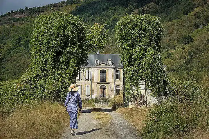 Restauración de la popularidad