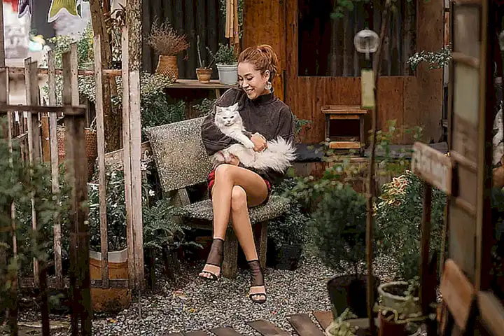 Ropa y accesorios diseñados para hacer que las mascotas sean más cómodas