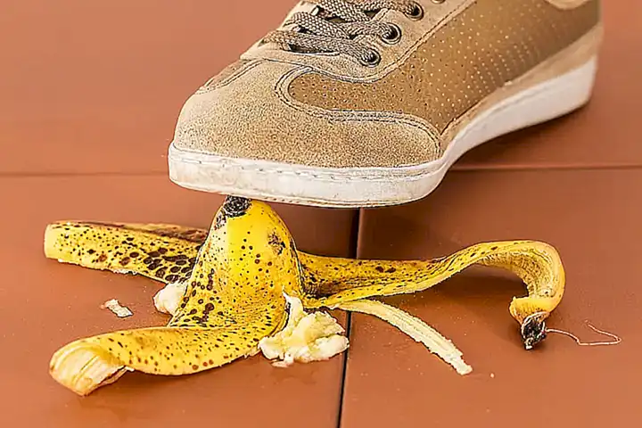 Seguridad y cuidado veterinario