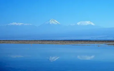dos-especies-de-elefantes_h2_1746.webp
