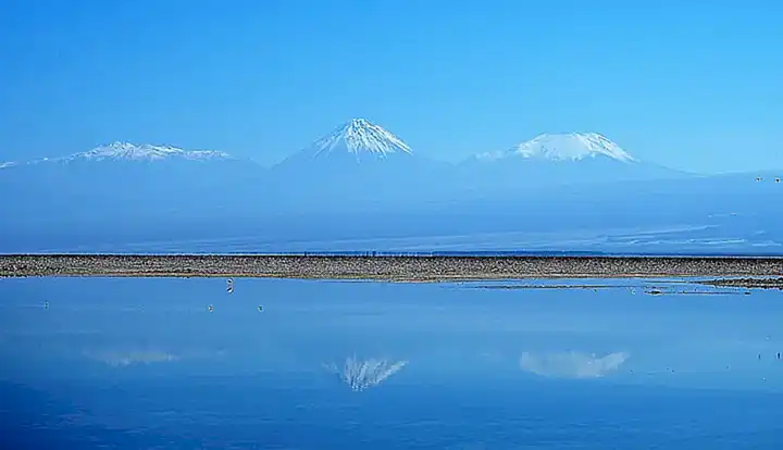 dos-especies-de-elefantes_h2_1746.webp
