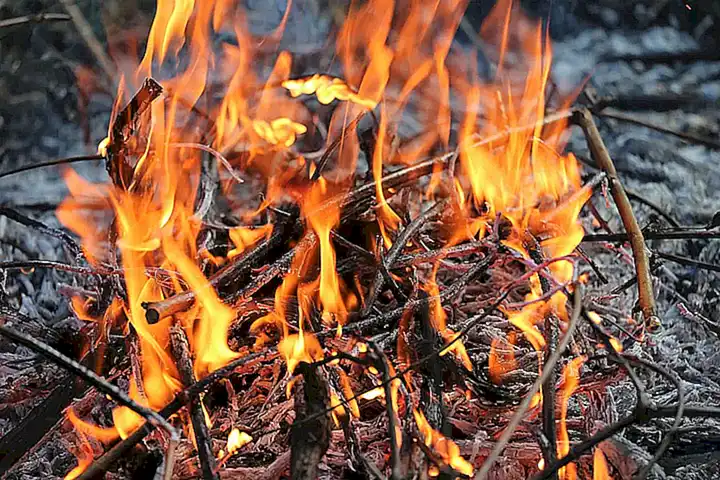 Temperatura alta
