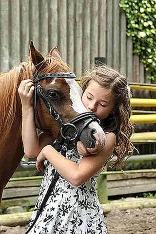 Tipos de desparasitación para caballos