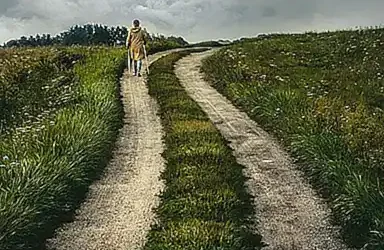 los-sentidos-en-accion_h2_799.webp