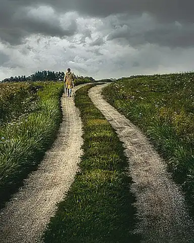 Un viaje por el tiempo en busca de respuestas