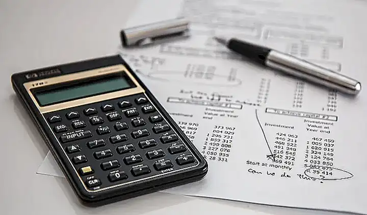 Una calculadora online para calcular la edad de un perro