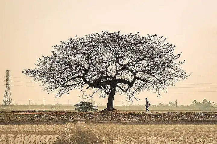 razas-recomendadas-para-la-vida-en-el-campo_h2_237.webp