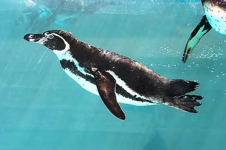 Zoológicos y acuarios